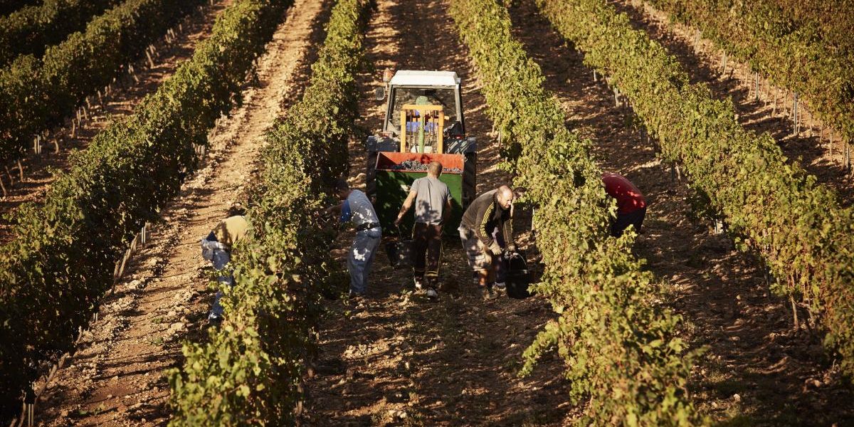 Spania legalizează 500.000 de imigranți: Cine se califică pentru statut legal