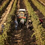 Spania legalizează 500.000 de imigranți: Cine se califică pentru statut legal