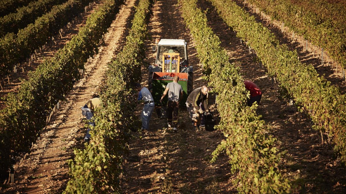 Spania legalizează 500.000 de imigranți: Cine se califică pentru statut legal