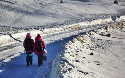 Numărul copiilor cu părinți plecați la muncă, în scădere Numărul copiilor din România cu părinți plecați la muncă în străinătate a continuat să scadă la finele anului 2025, ajungând la 50.364, conform datelor oficiale