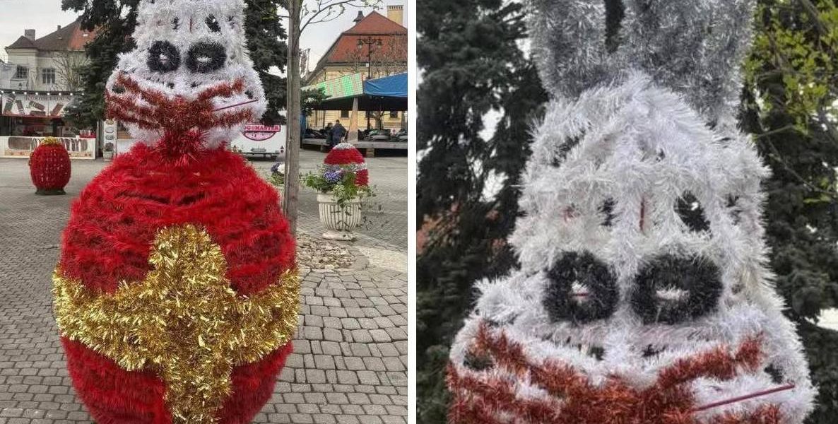 Iepurașii horror din Baia Mare revoltă locuitorii: „Te doare mintea cum arată”