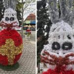 Iepurașii horror din Baia Mare revoltă locuitorii: „Te doare mintea cum arată”