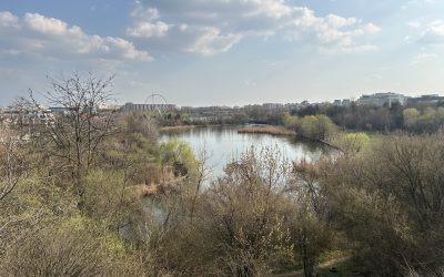 Pajiștea Petricani, o arie protejată sub asediul „dezvoltării”: Copacii tăiați și blocurile de 25 de etaje amenință oaza de verdeață din București Pajiștea Petricani, recent declarată arie naturală protejată, este supusă în prezent presiunii dezvoltării imobiliare