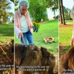 Bătrânica de 96 de ani și câinele-săpător, vedete virale