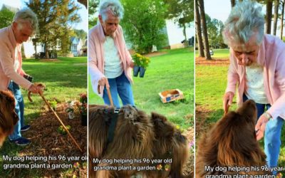 Bătrânica de 96 de ani și câinele-săpător, vedete virale