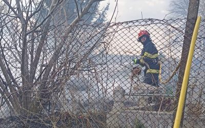 Incendiu devastator într-un cimitir din Botoșani: Flăcările au mistuit morminte