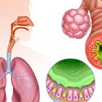Dușmanul invizibil care ne distruge sănătatea: Pericolul ascuns