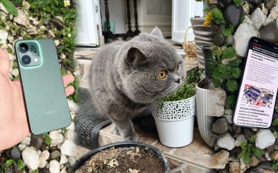 Noul OPPO Reno14 5G promite o experiență de utilizare premium, fără a atinge prețurile specifice telefoanelor de top