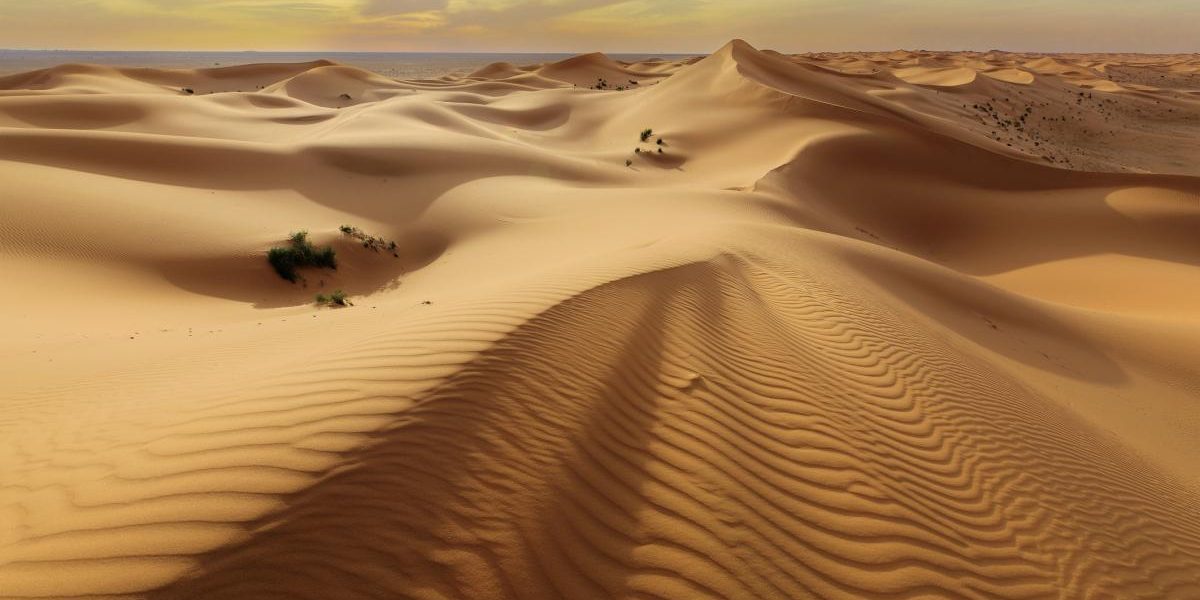 Japonia și Norvegia transformă nisipul deșertic într-un material de construcție revoluționar