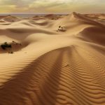 Japonia și Norvegia transformă nisipul deșertic într-un material de construcție revoluționar