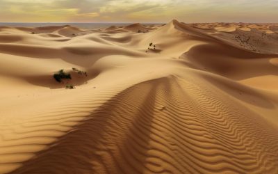 Japonia și Norvegia transformă nisipul deșertic într-un material de construcție revoluționar