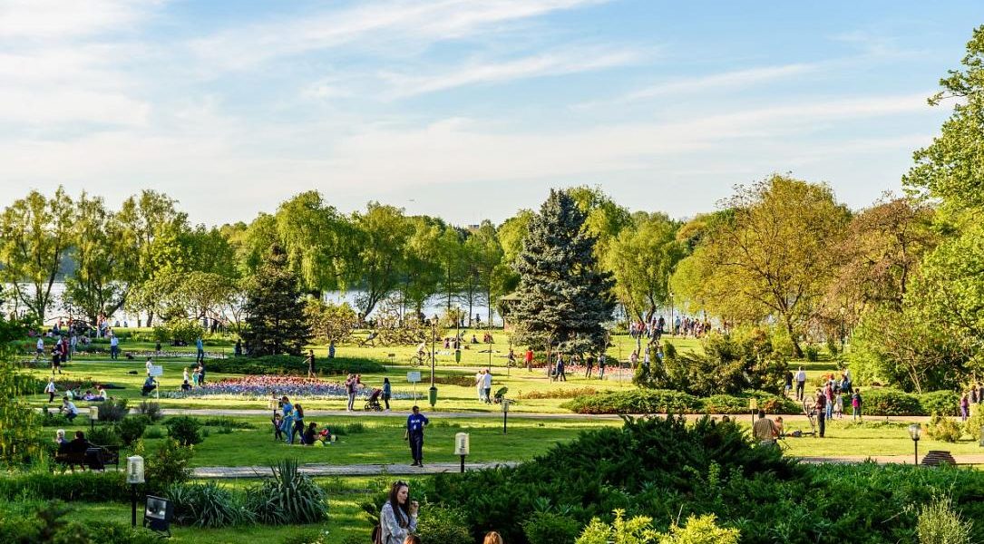 Festivaluri de film: O’Clock, Alpin Film și Hanami, distracție la weekend!