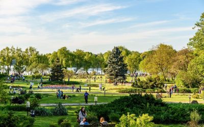 Festivaluri de film: O’Clock, Alpin Film și Hanami, distracție la weekend!