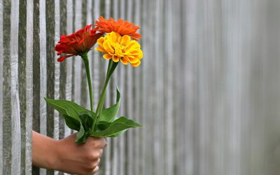 De ce se dau flori în număr impar și ce simbolizează cele cu soț