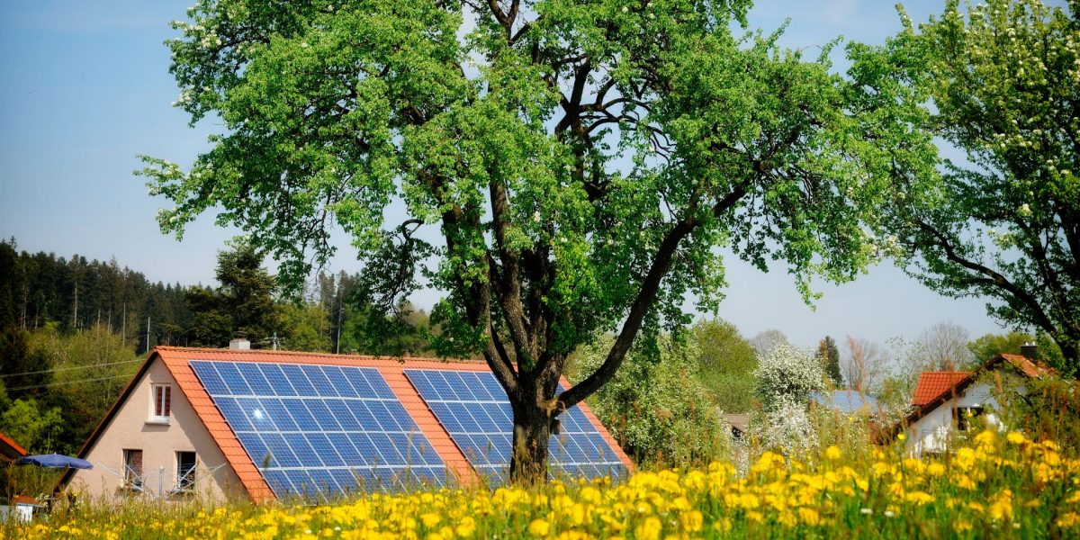 Lemnul viitorului: Inginerii crează material ce produce energie solară și noaptea