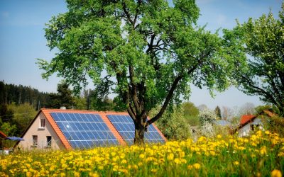 Lemnul viitorului: Inginerii crează material ce produce energie solară și noaptea