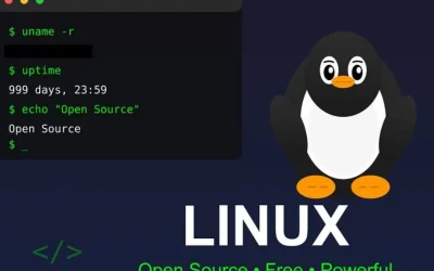 Franța renunță la Windows: Vrea Linux! Scapă de giganții tech