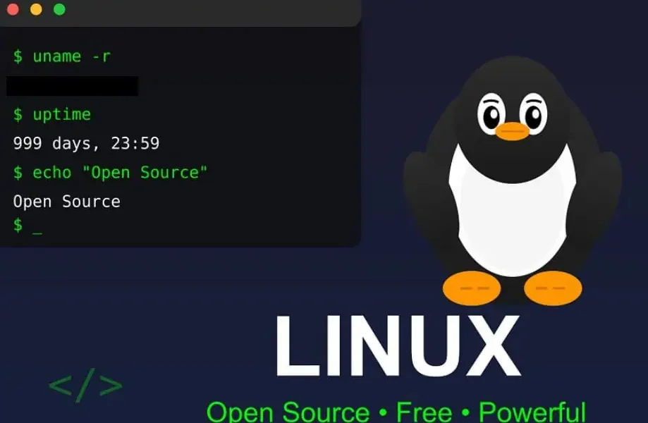 Franța renunță la Windows: Vrea Linux! Scapă de giganții tech