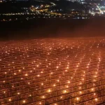 A dat foc la 40.000 de euro ca să-și salveze recolta: Povestea din Cluj