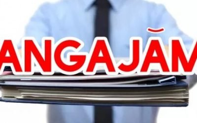 Angajări frenetice în România: Firmele se luptă pentru șoferi, curieri și necalificați