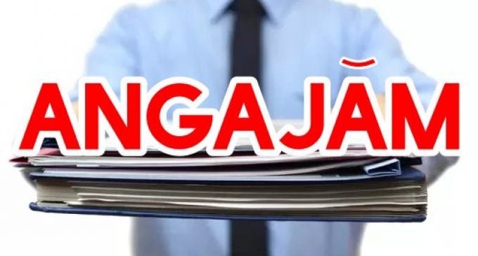 Angajări frenetice în România: Firmele se luptă pentru șoferi, curieri și necalificați