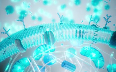 Cât de multă știință există în industria longevității