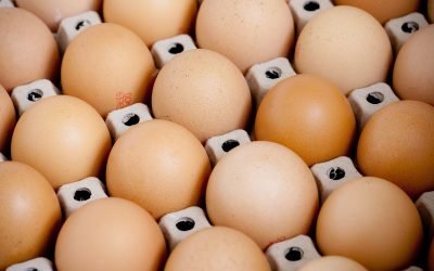 În contextul apropierii sărbătorilor pascale, autoritățile din județul VASLUI au intensificat controalele în piețe, târguri și unități de alimentație publică
