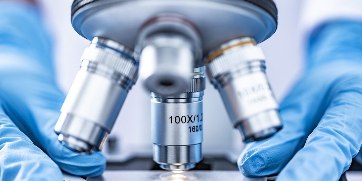 România intră în ELIXIR, rețeaua europeană de top în cercetare