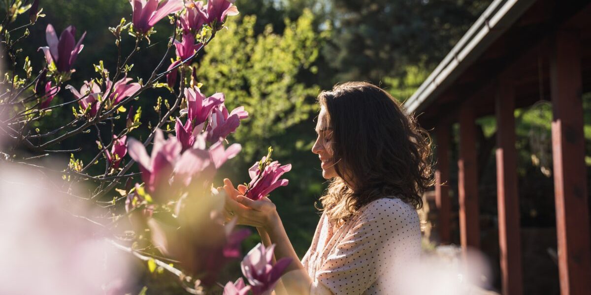 Copacul norocos: Tradiția care îți schimbă viața, plantat în aprilie!