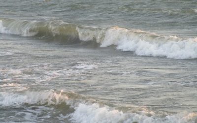 Un nou incident cu drone la Marea Neagră: Fragmente descoperite pe plaja din Tuzla București – Fragmente dintr-o dronă au fost descoperite vineri după-amiază pe plaja din localitatea Tuzla, județul Constanța, a anunțat un jurnalist