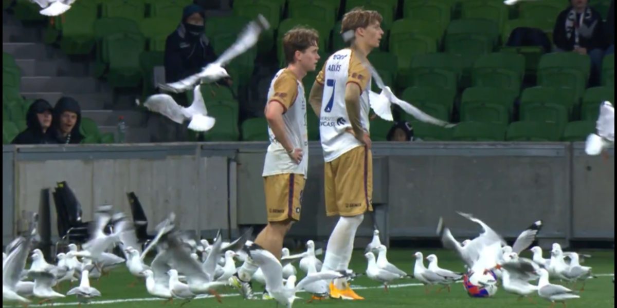 Meci întrerupt din cauza unui motiv… HILAR. Ce s-a întâmplat pe teren