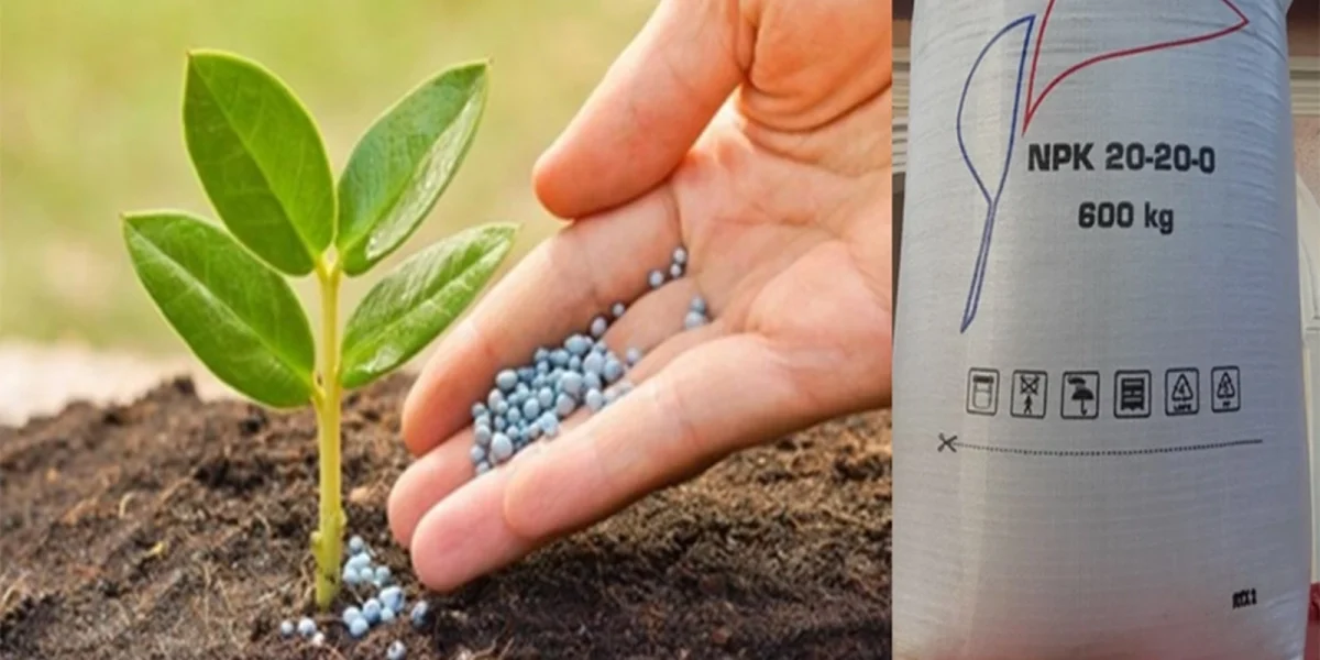 Dronele ucrainene lovesc industria rusă de îngrășăminte cu azot