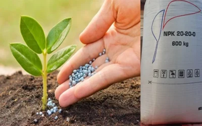 Dronele ucrainene lovesc industria rusă de îngrășăminte cu azot