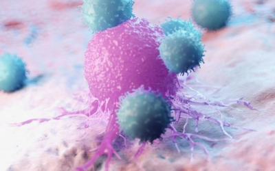 O echipă de cercetători a descoperit un mecanism fascinant prin care celulele mor, lăsând în urmă „amprente biologice” care pot influența funcționarea sistemului imunitar și chiar răspândirea virusurilor