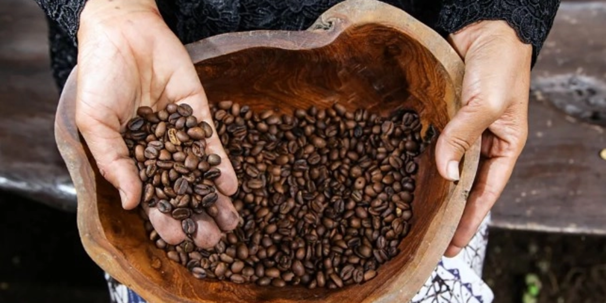 Gigantul indian de cafea intră în România: Prima bază europeană