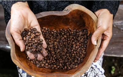 Gigantul indian de cafea intră în România: Prima bază europeană