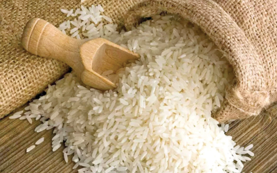 Orezul „ganditor” revoluționează robotica: Secretul uluitor