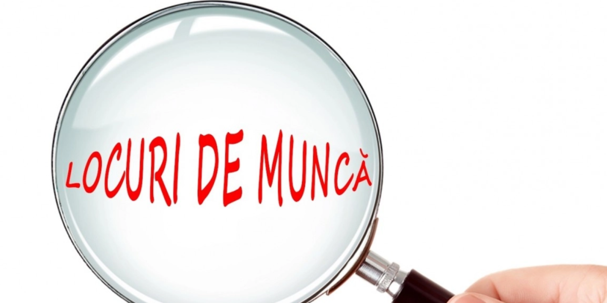 Cele mai dorite joburi în România: Ce salarii atrag angajații