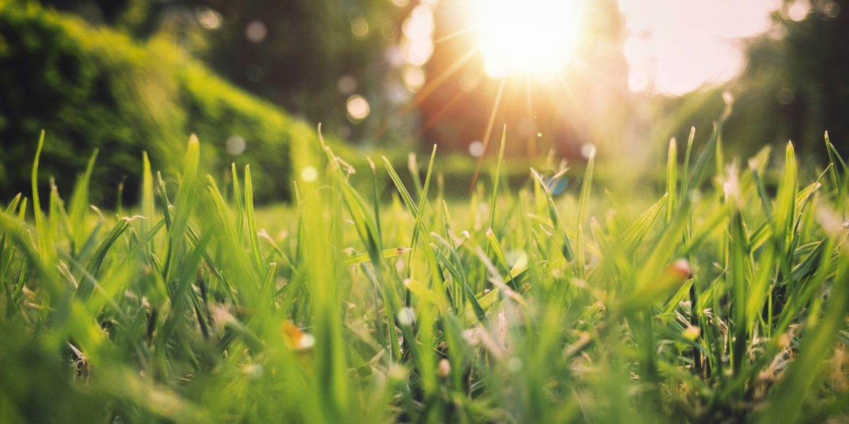 Vremea se încălzește, dar plouă: Prognoza meteo pentru România