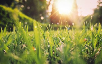 Vremea se încălzește, dar plouă: Prognoza meteo pentru România