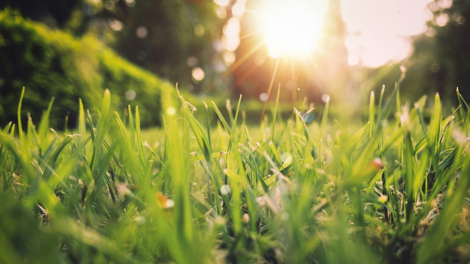 Vremea se încălzește, dar plouă: Prognoza meteo pentru România