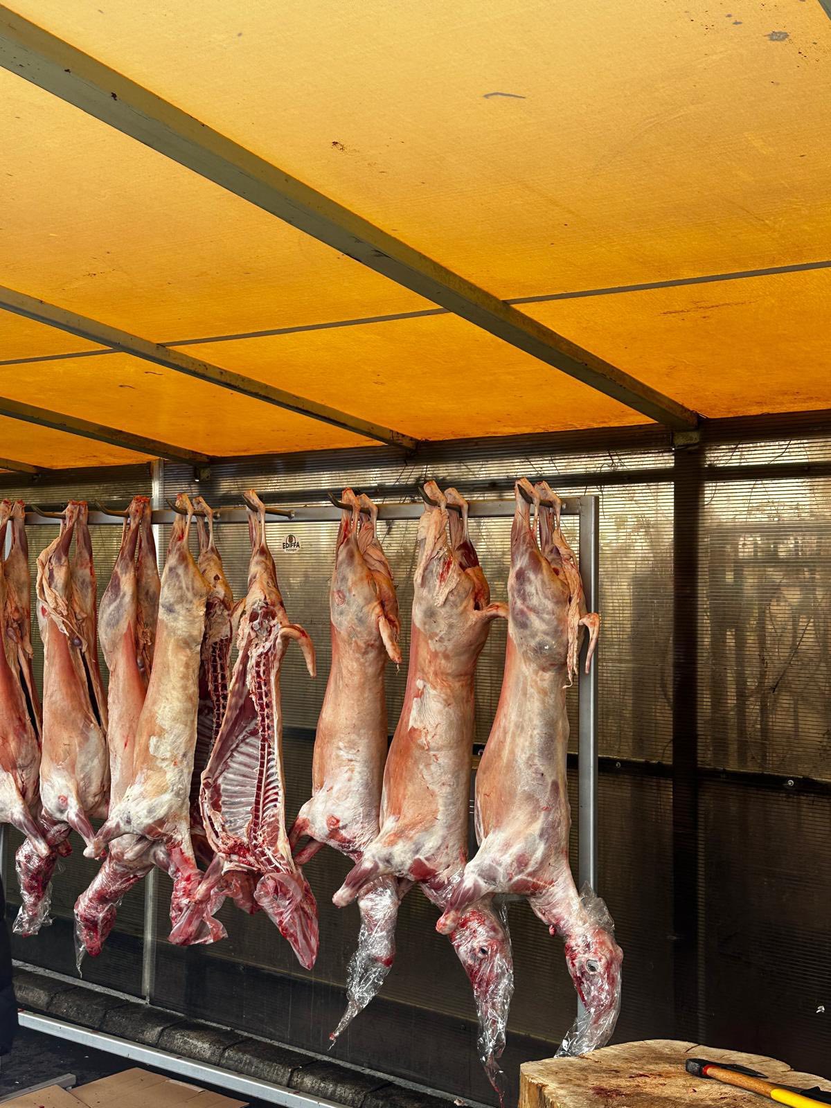 Peste 6 milioane de lei, amenzi pentru comercianții de carne de miel București – Autoritatea Națională pentru Protecția Consumatorilor (ANPC) a desfășurat, în ultima săptămână, ample controale la comercianții de carne de miel, dar și la restaurante