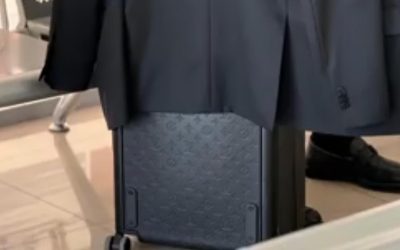 Barbu, ministrul Agriculturii, pozat cu o geantă Louis Vuitton de 5.000 €