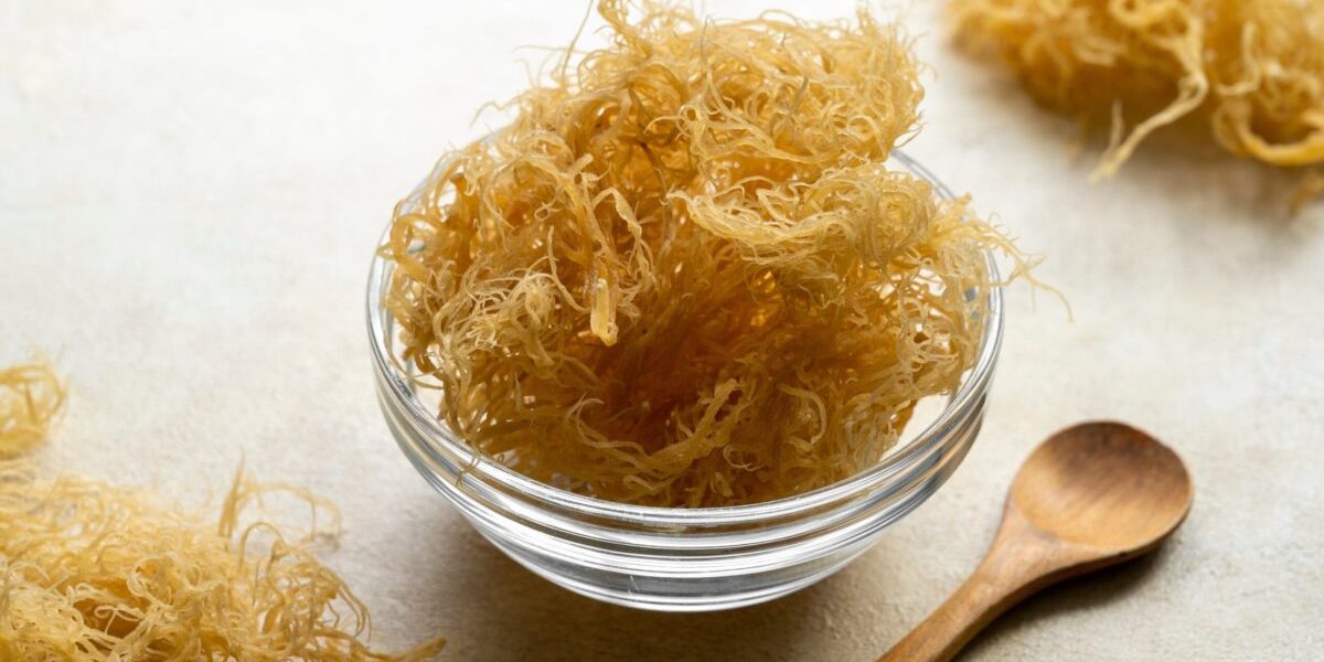 Muşchi de mare: Superaliment minune sau simplu trend? Experții spun