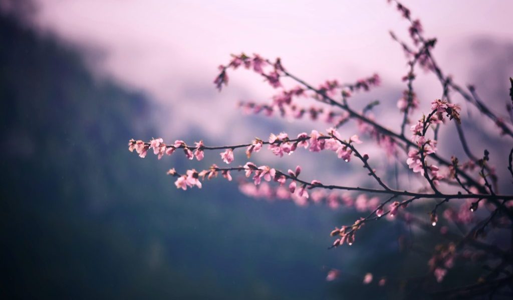 Vremea de Paște: Frig neobișnuit, ninsoare la munte și ploi mărunte prin țară