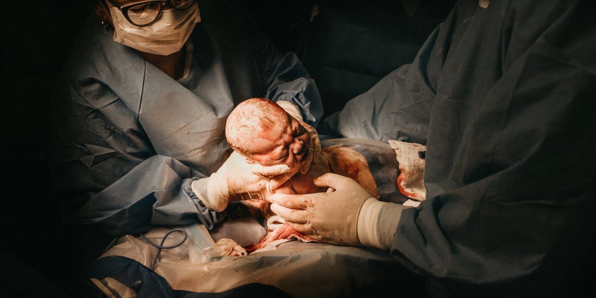 Senatoarea USR, Cynthia Păun, vrea eliminarea panourilor pro-naștere din București