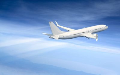 O femeie a născut în timpul unui zbor către Statele Unite, eveniment care a declanșat dezbateri importante despre cetățenia bebelușului