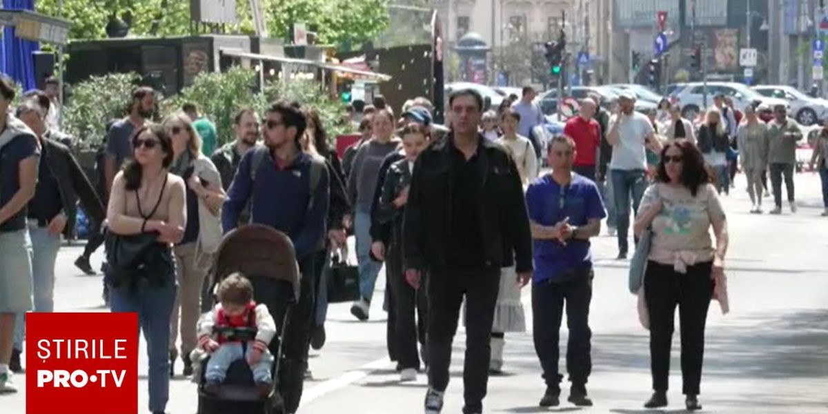 Bucureștiul vibrează: Street Food Festival pe Kiseleff, cu delicii și concerte