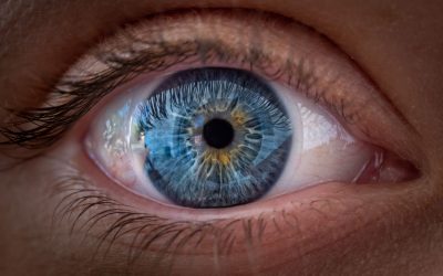 Un nou studiu revoluționar dezvăluie modul complex în care ochiul uman focalizează culorile, sugerând că mecanismele vizuale sunt mult mai sofisticate decât se credea anterior