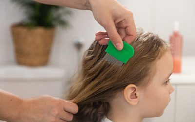 Remedii naturiste ANTI-PĂDUCHI: Scapă de paraziți. Ce metode chiar funcționează?